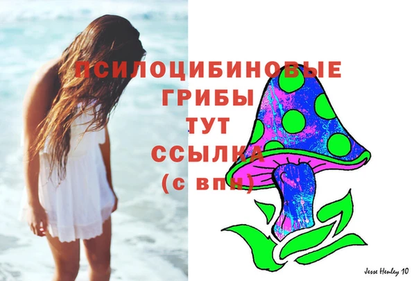 мдпв Каменногорск